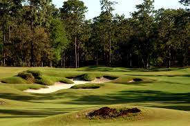 Victoria Hills Golf Club 11-1-21 (2-man & Individual stroke play)